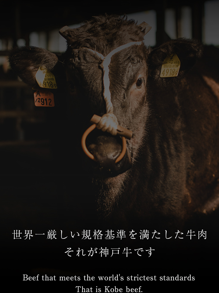 牛。世界一厳しい規格基準を満たした牛肉。それが神戸牛です